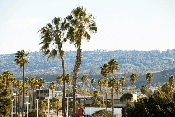 city image
