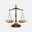 legal issue image